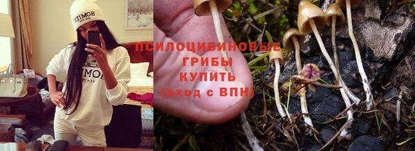 прущий лед Михайлов