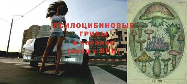 трава Михайловка