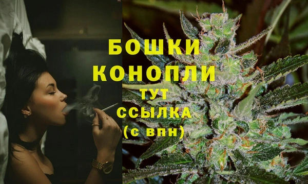 сатива Михайловск