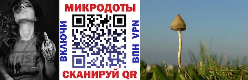 Галлюциногенные грибы мицелий магазин наркотиков Волгоград