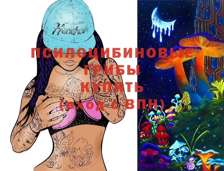 Псилоцибиновые грибы Magic Shrooms  Волгоград 