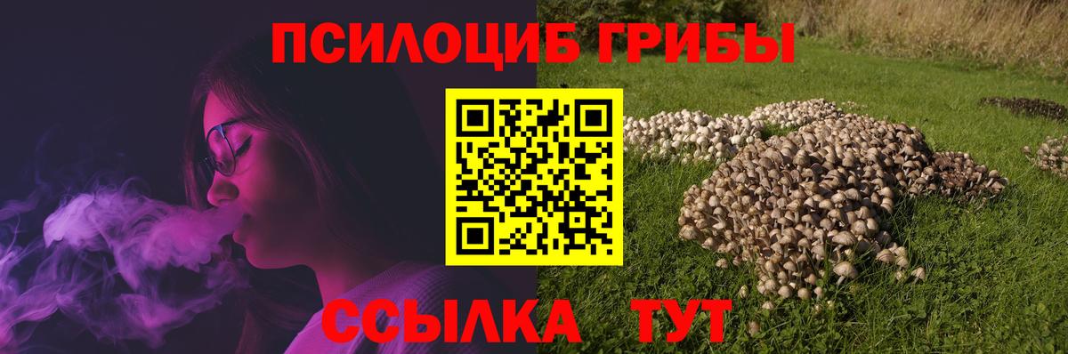 Галлюциногенные грибы Psilocybine cubensis Волгоград