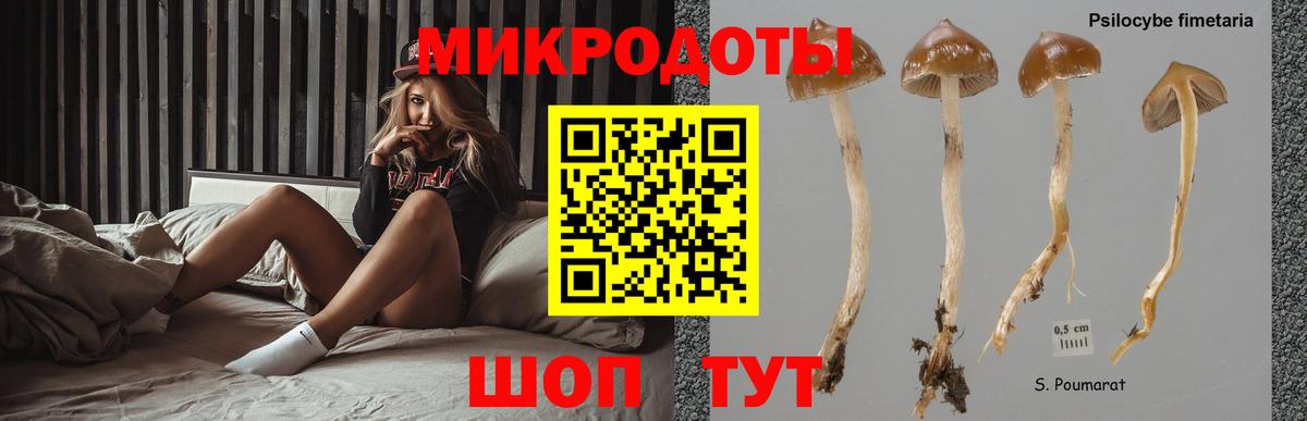 Галлюциногенные грибы GOLDEN TEACHER  Волгоград  Псилоцибиновые грибы GOLDEN TEACHER 