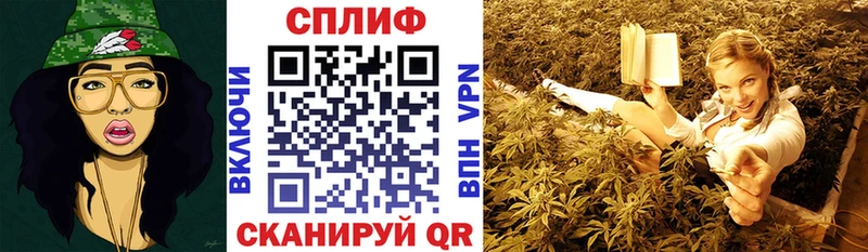 Бошки марихуана план  купить   Волгоград 